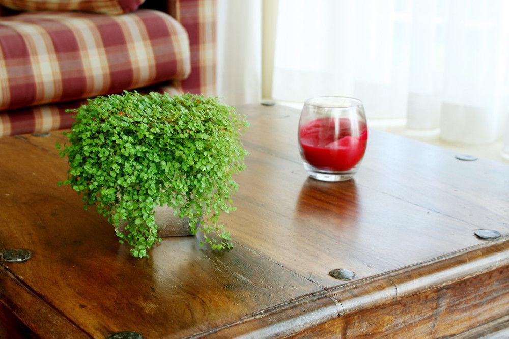 Logement 'De Witte Klok' Oude Bildtzijl Ngoại thất bức ảnh